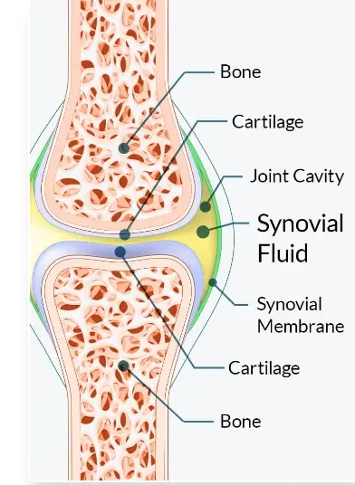 joint genesis joint pain